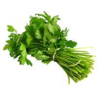 Coriander Leaves